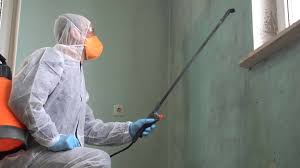 Best Industrial Mold Remediation in USA